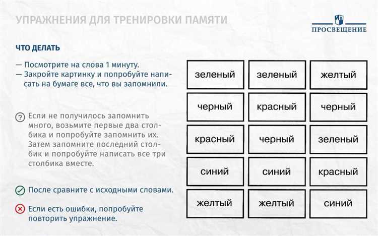 Влияние игр на память и внимание: как они работают на мозг