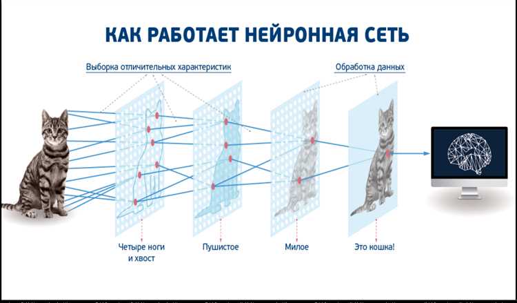 Преимущества использования нейросетей в поисковых системах